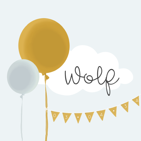 Lief geboortekaartje voor een jongen met ballonnen