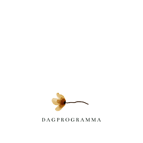 Dagprogramma rozen bloemen