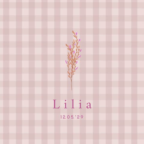 Tegeltje Geboorte ruit takje