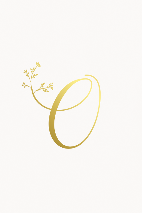 Geboortekaartje sier letter foliedruk letter