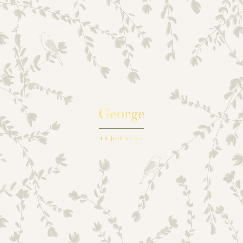 Geboortekaartje vogeltjes takjes vierkant ronde hoeken