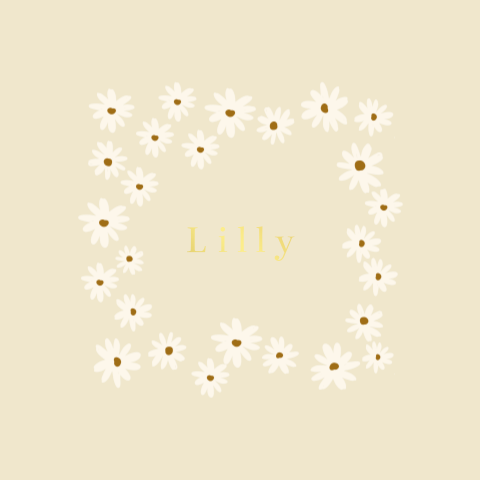 Geboortekaartje ronde hoeken margrietjes