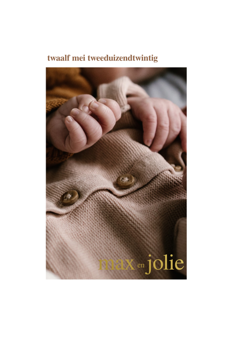 Geboortekaartje foto strak goudfolie tweeling