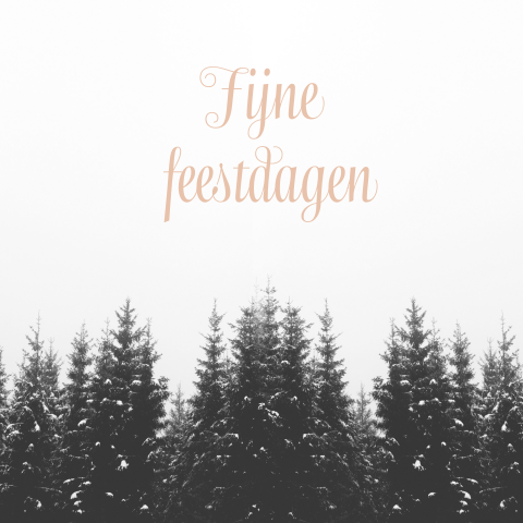 Kerstkaart bomen winterlandschap
