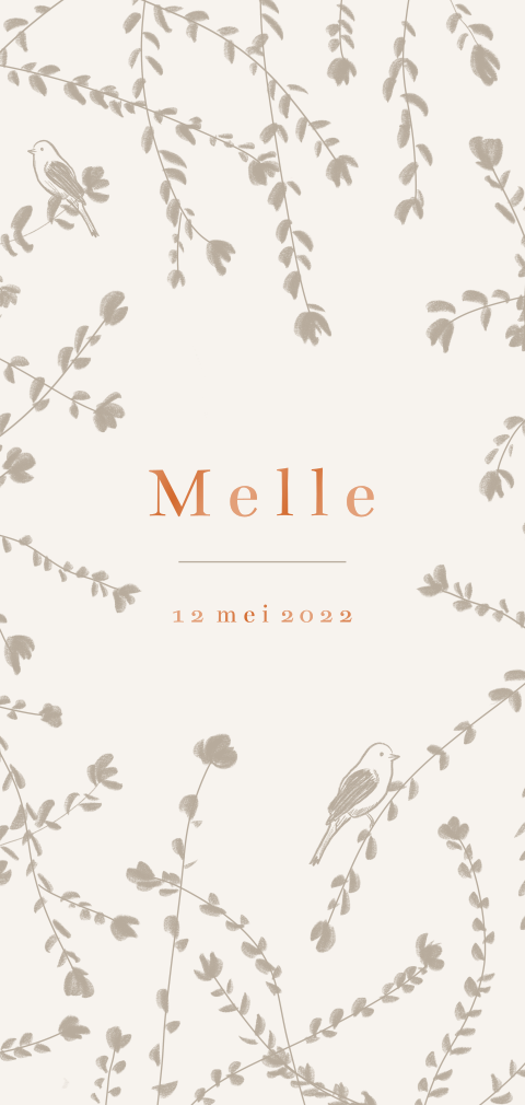 Geboortekaartje vogeltjes takjes