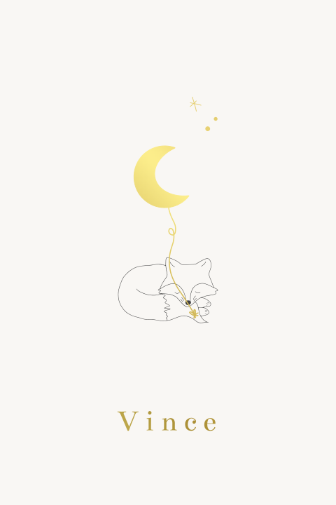 Geboortekaartje vosje maan ballon