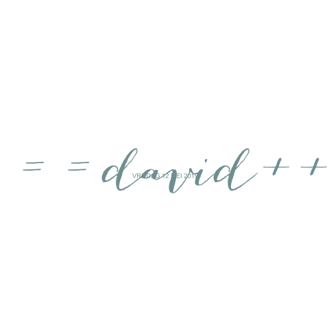 Geboortekaartje David