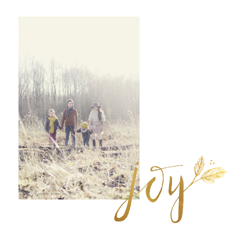 Kerstkaart foto Joy