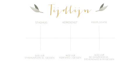 Dagprogramma roses