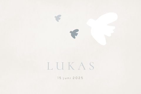 Geboortekaartje dubbel vogel stans kaart