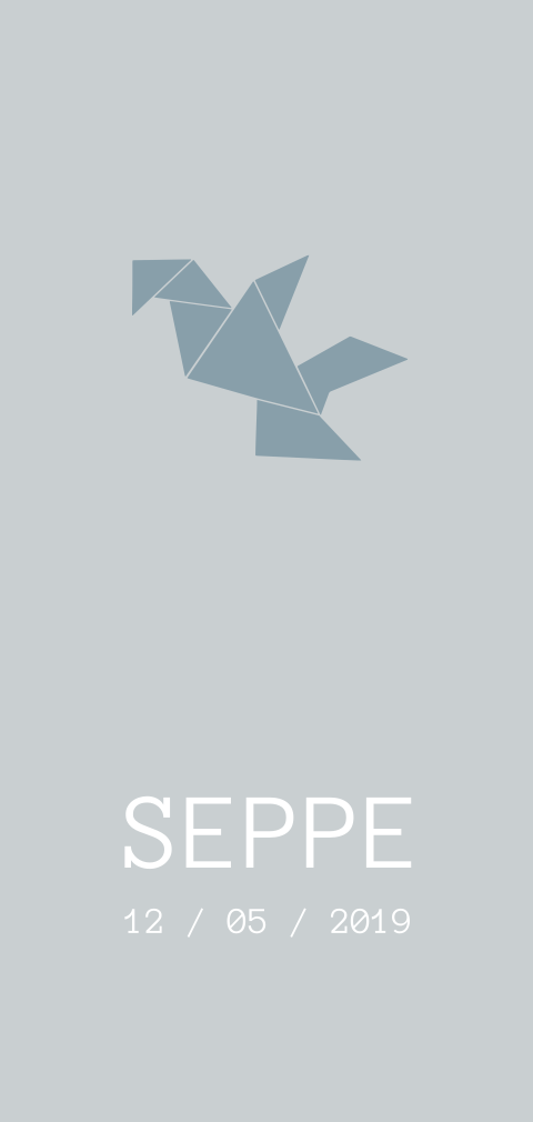 Geboortekaartje Seppe