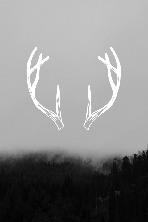 Kaart Deer