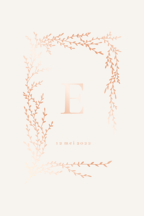 Geboortekaartje Takjes ronde hoeken