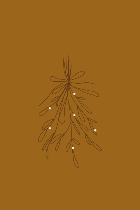 Kerstkaart mistletoe