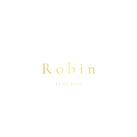 Geboortekaartje Vogel vorm