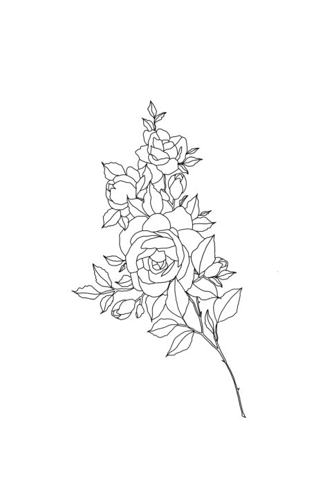 Menukaart rozen lijn tekening zwart folie