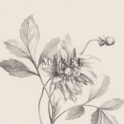 Menukaart bloemen rijksstudio