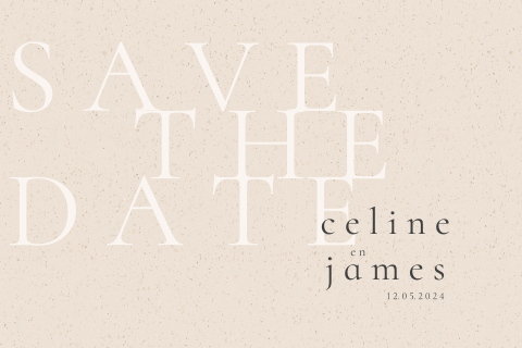 Save the Date minimalistisch structuur