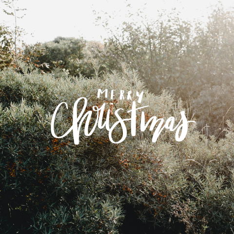Kerstkaart foto
