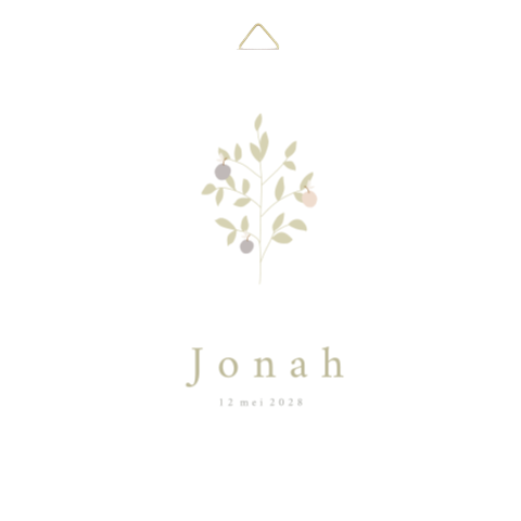 Geboorte tegeltje baby 