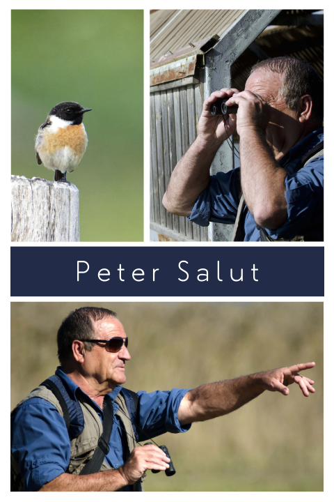 Gedachteniskaartje met fotocollage natuurliefhebber en vogel