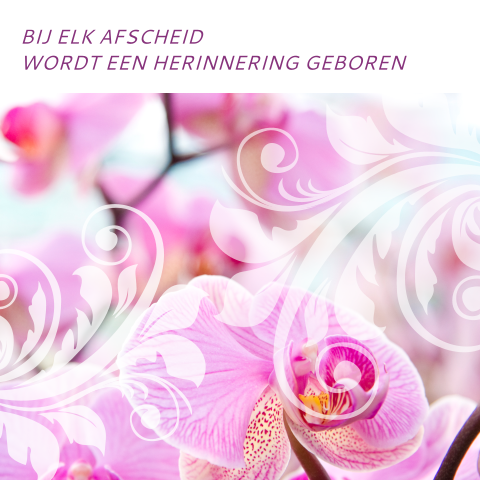 Condoleancekaart met foto van een orchidee
