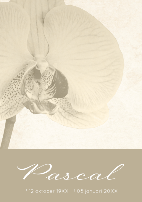 Sepia rouwbrief met orchidee