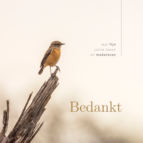 Bedankkaart overlijden met roodborstje op houten tak