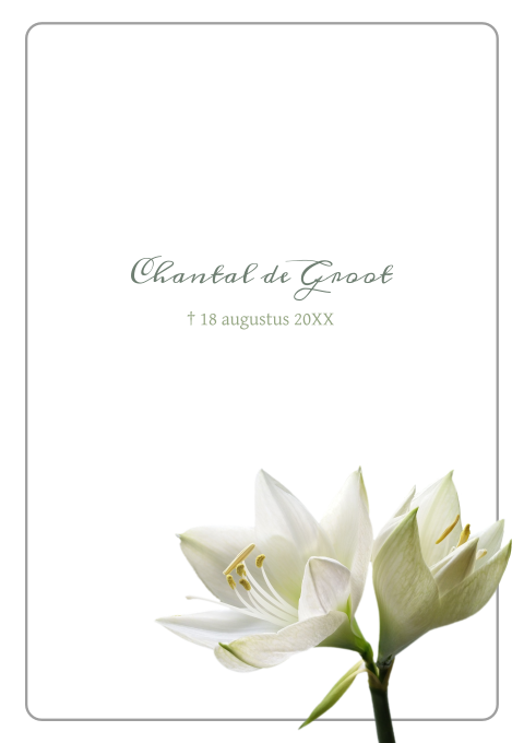 Mooie rouwbrief met elegante bloemen
