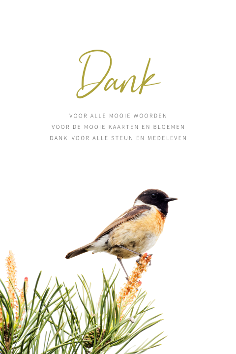 Rouw bedankkaart met roodborsttapuit
