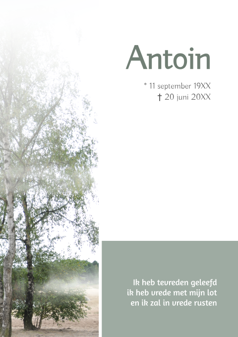 Rouwbrief met boom