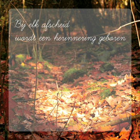 Condoleancekaart met foto van bosgrond