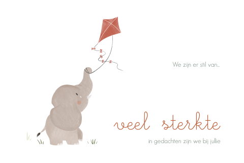 Sterkte kaart met verdrietig olifantje en vlieger