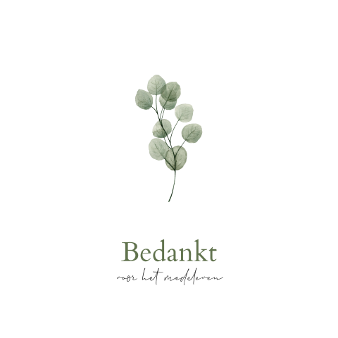 Bedankkaart overlijden eucalyptus takje