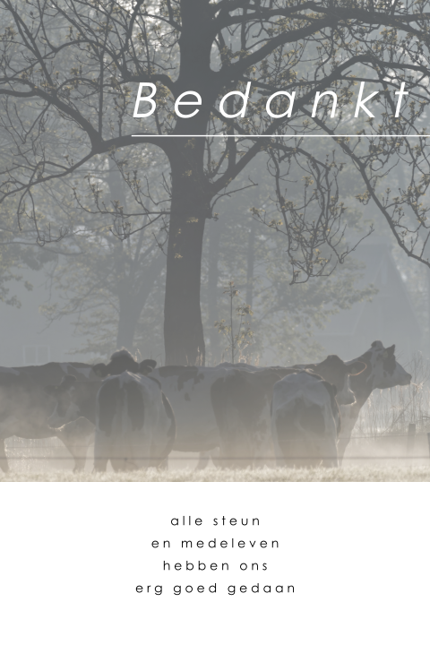 Strakke rouw bedankkaart met landschap en koeien