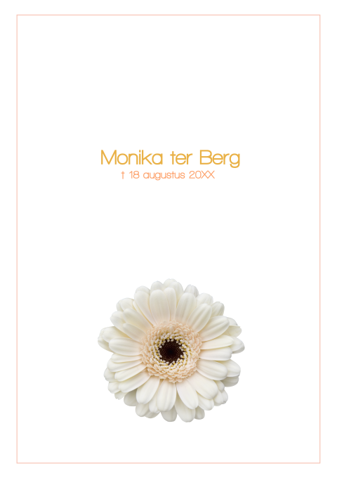 Rouwbrief met een margriet