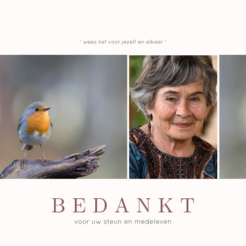 Bedankkaart met portretfoto en roodborstje