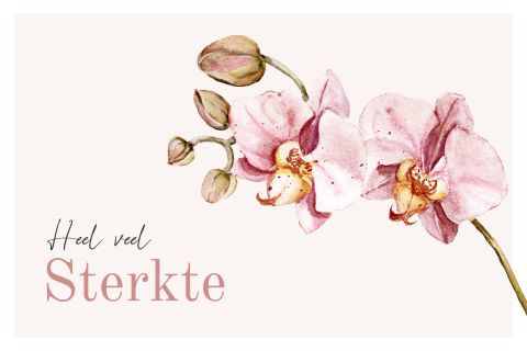 Sterkte kaart met orchidee en wit kader