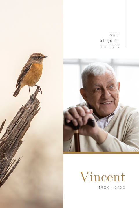Rouwkaart portretfoto en sfeerfoto van een roodborstje op tak