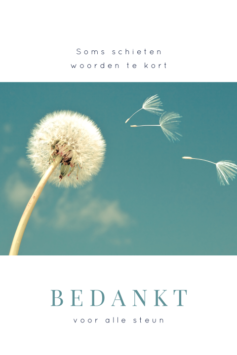Bedankkaart met paardenbloem en wegvliegende pluisjes