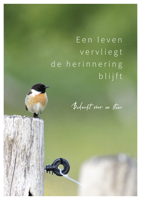 Rouw bedankkaart voor natuurliefhebber met vogel