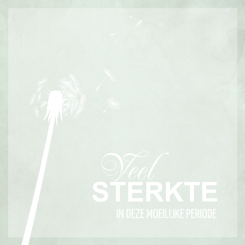 Condoleancekaart met paardenbloem in de wind