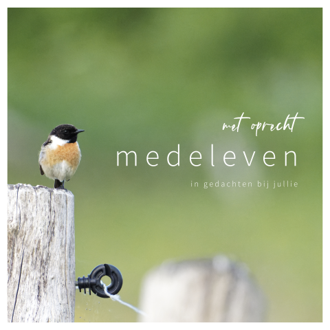 Met oprecht medeleven kaart met sfeerfoto van vogel