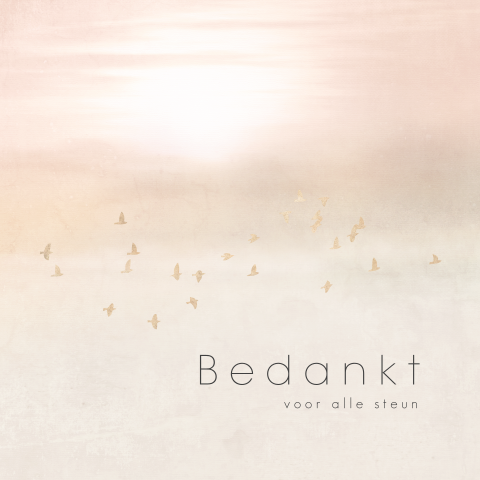 Bedankkaart overlijden met aquarel lucht en trekvogels