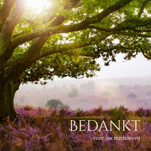 Bedankkaart overlijden met boom in heide