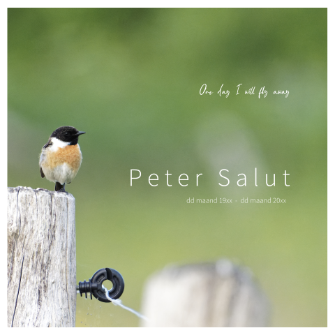 Rouwkaart met sfeerfoto vogel in de natuur