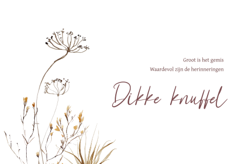 Condoleance kaart met veldbloemen en tekst Dikke knuffel