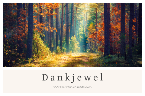 Bedankkaart met bomen en prachtig zonlicht