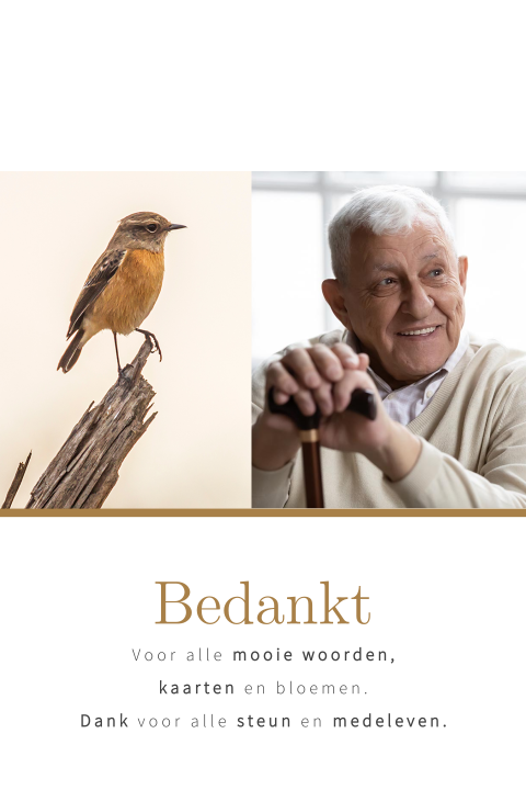 Bedankkaart portretfoto en sfeerfoto vogel
