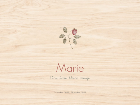 Memorybox hout bewaardoos overlijden takje aarbei